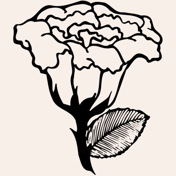 FLOWER10 Thumbnail