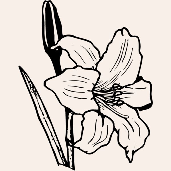 FLOWER12 Thumbnail