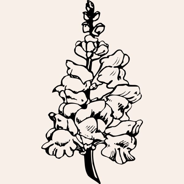 FLOWER14 Thumbnail