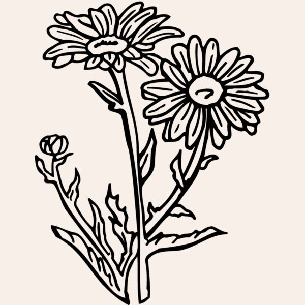 FLOWER17 Thumbnail