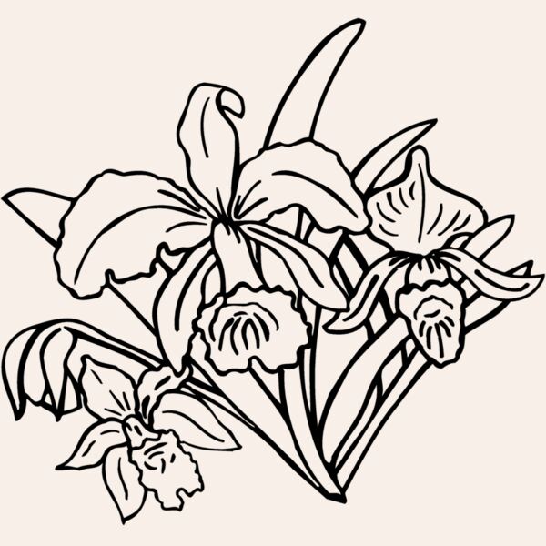 FLOWER18 Thumbnail