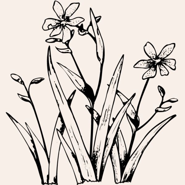 FLOWER19 Thumbnail