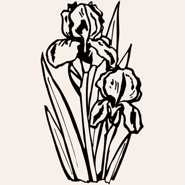 FLOWER20 Thumbnail