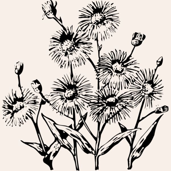 FLOWER22 Thumbnail