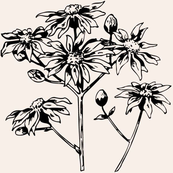 FLOWER28 Thumbnail