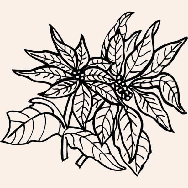 FLOWER29 Thumbnail
