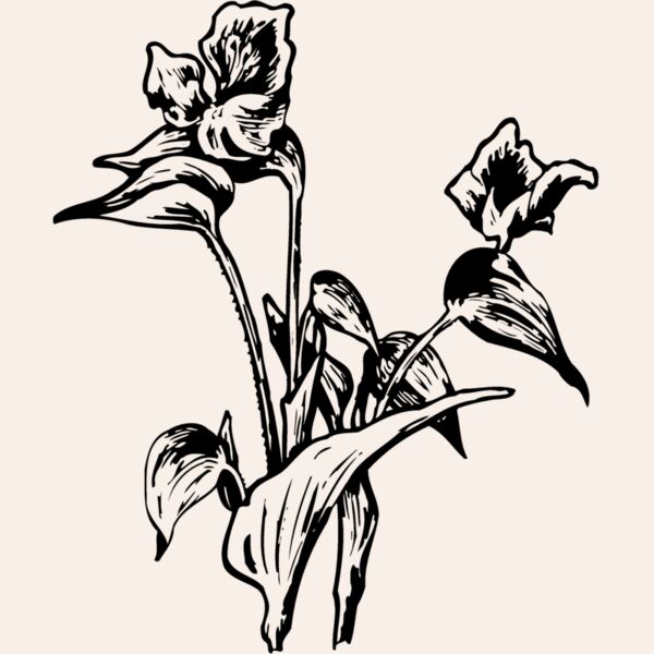 FLOWER30 Thumbnail