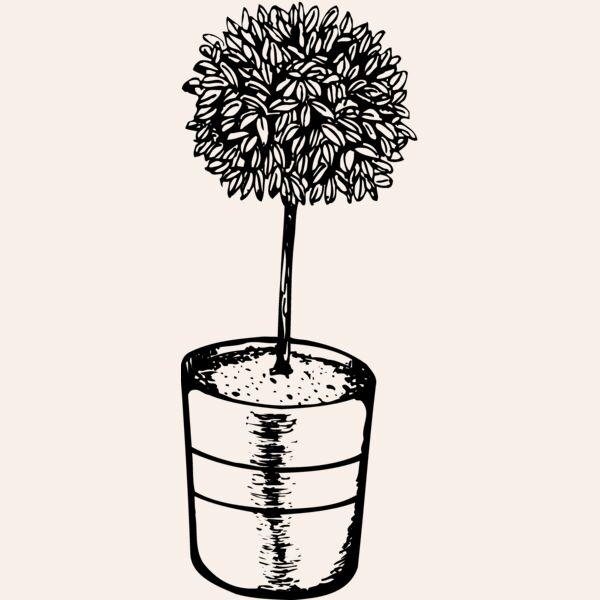 PLANT01 Thumbnail