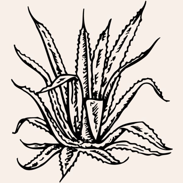 PLANT02 Thumbnail
