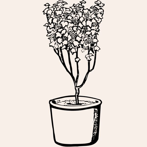 PLANT04 Thumbnail