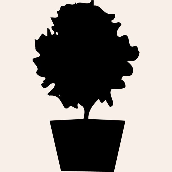 PLANT06 Thumbnail