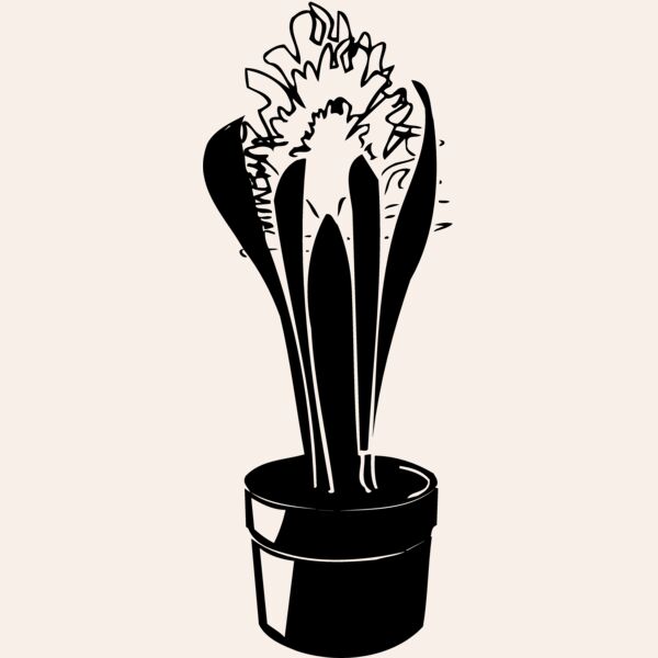 PLANT08 Thumbnail