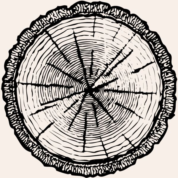 TIMBER04 Thumbnail