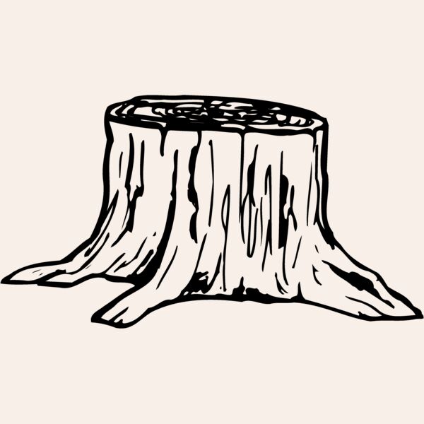 TIMBER07 Thumbnail