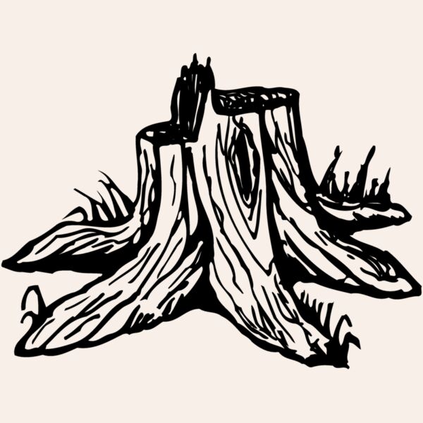 TIMBER09 Thumbnail
