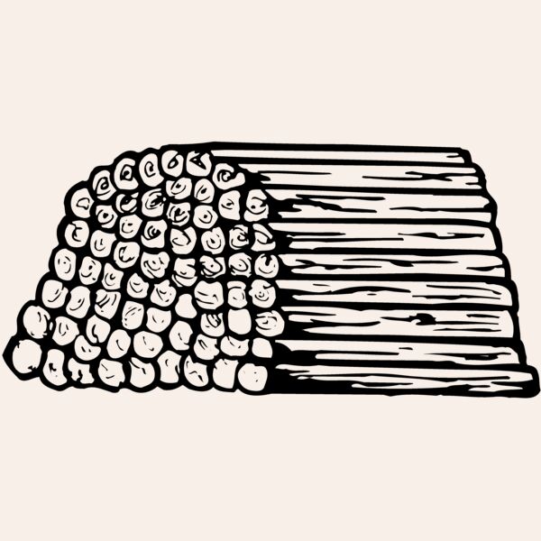 TIMBER11 Thumbnail