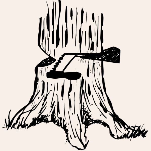 TIMBER13 Thumbnail