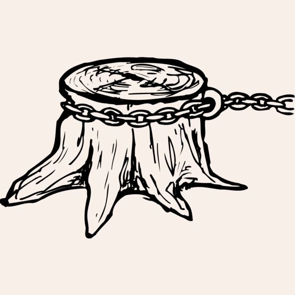 TIMBER15 Thumbnail