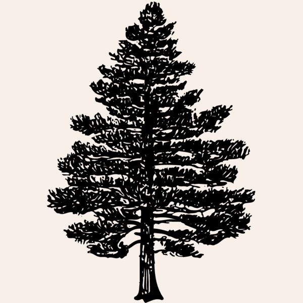 TREE0003 Thumbnail