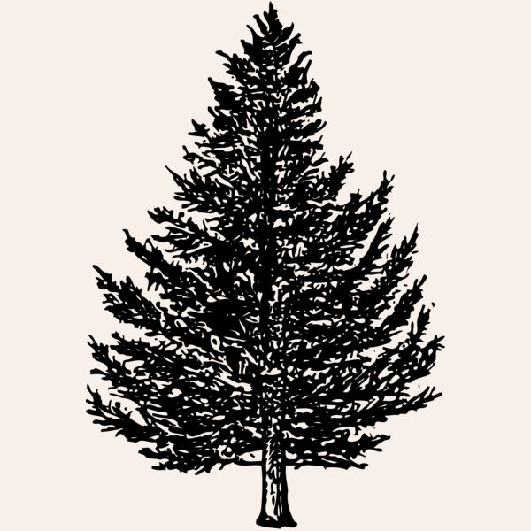 TREE0005 Thumbnail