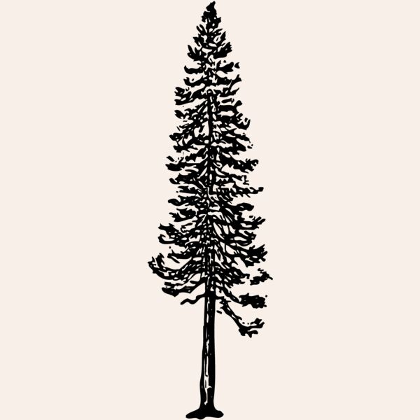 TREE0006 Thumbnail