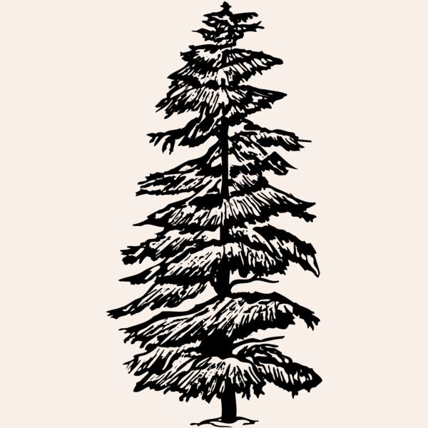 TREE0007 Thumbnail