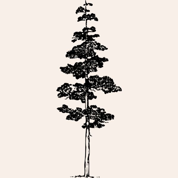 TREE0012 Thumbnail