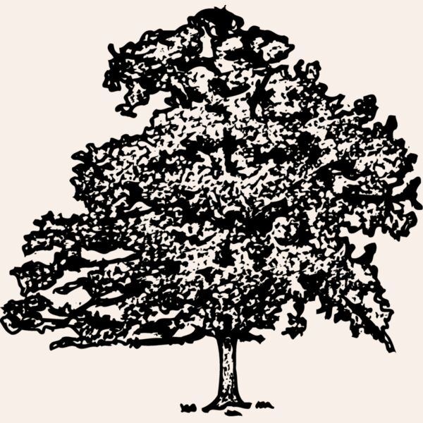 TREE0013 Thumbnail