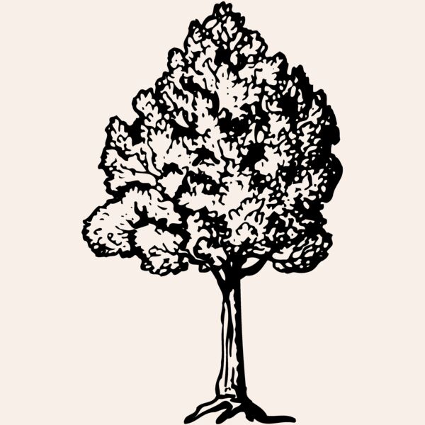 TREE0017 Thumbnail
