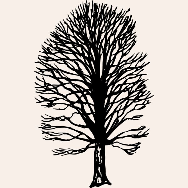 TREE0019 Thumbnail
