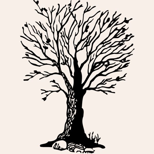 TREE0020 Thumbnail