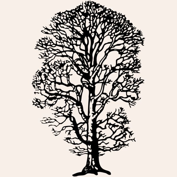 TREE0021 Thumbnail