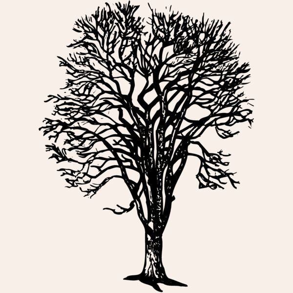 TREE0022 Thumbnail