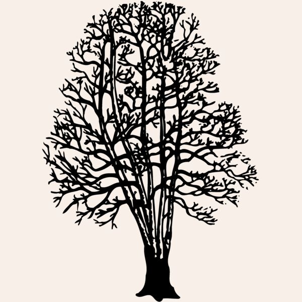 TREE0023 Thumbnail
