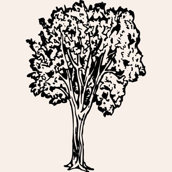 TREE0024 Thumbnail