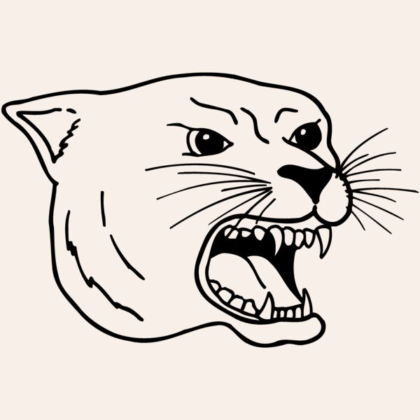 CAT17 Thumbnail